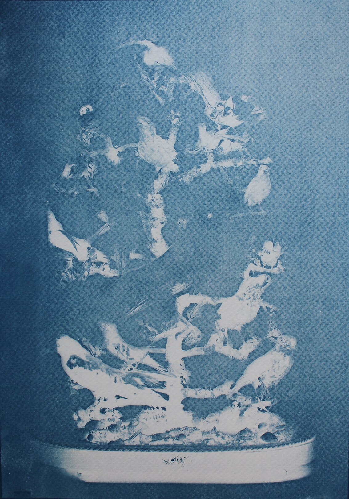 The Hall of Lost Steps ( 8 ), cyanotype, 29 x 20, 2020
